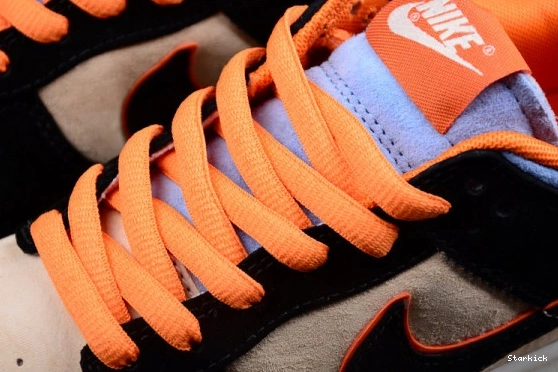 Katsuhiro Otomo Dunk LF0039-027 "Steamboy Low Nike SB OST" x 0224